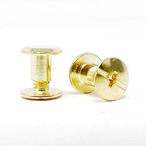 cs10-bb - Chicago screws - Bright Brass